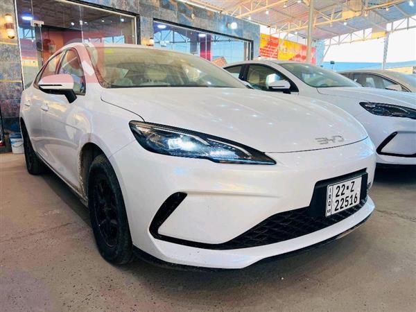 BYD Sealion 06 DM-i 2025 for sale in Iraq - Najaf